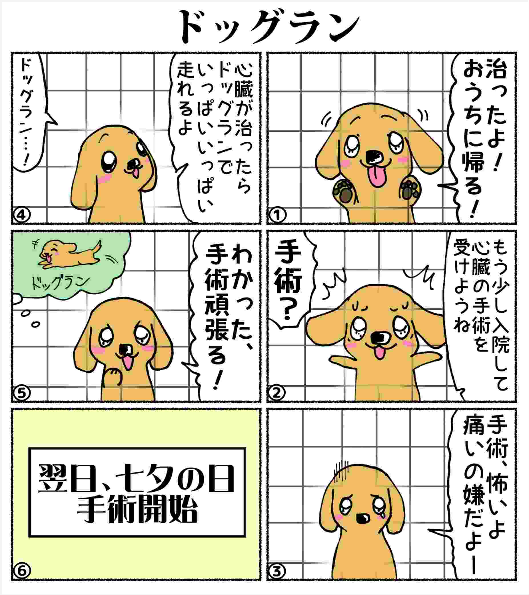 あいちゃん6コマ漫画12 ドッグラン ときめき カウントダウン