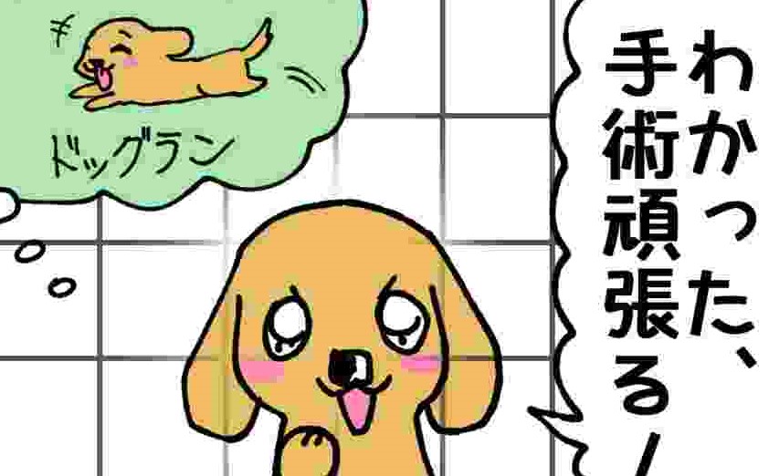 あいちゃん6コマ漫画12　「ドッグラン」